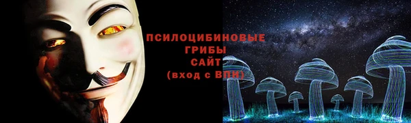 МДПВ Абаза