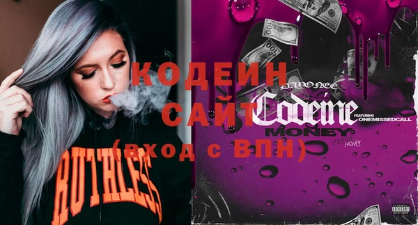индика Кулебаки