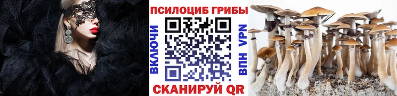 Псилоцибиновые грибы мицелий Серпухов